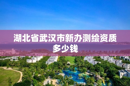 湖北省武漢市新辦測繪資質多少錢