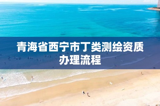 青海省西寧市丁類測繪資質辦理流程