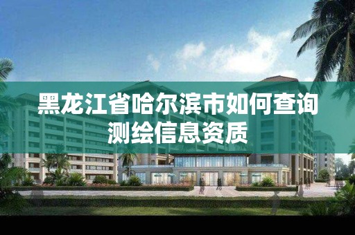 黑龍江省哈爾濱市如何查詢測繪信息資質