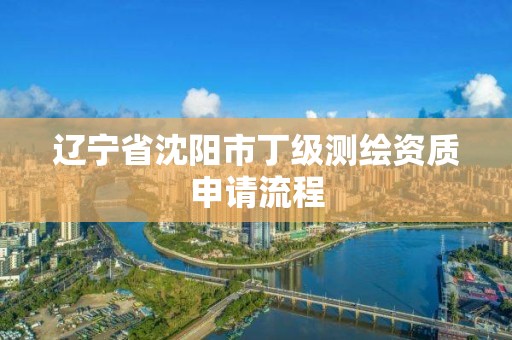 遼寧省沈陽市丁級測繪資質申請流程