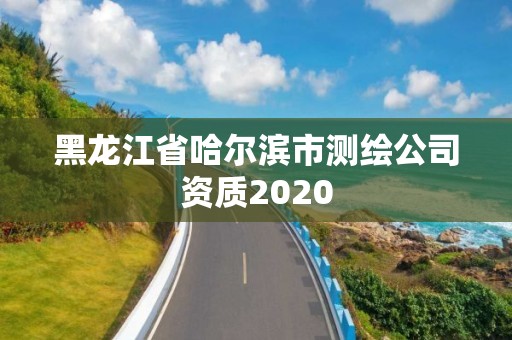 黑龍江省哈爾濱市測繪公司資質2020