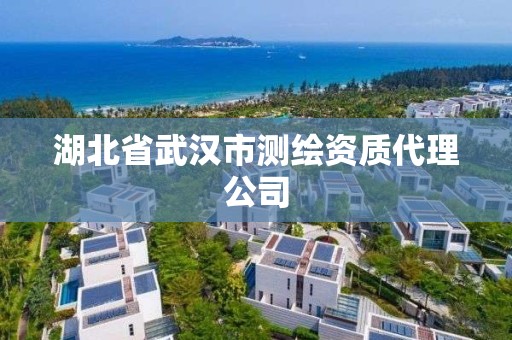 湖北省武漢市測繪資質代理公司