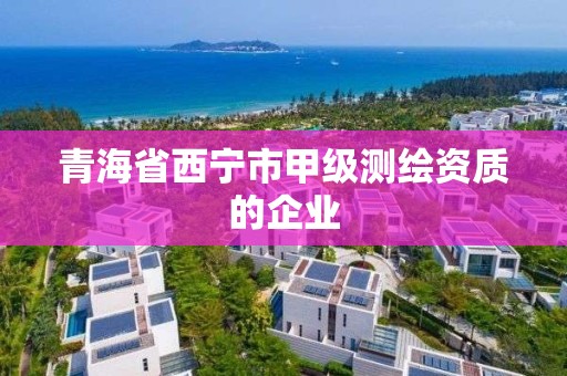 青海省西寧市甲級測繪資質的企業