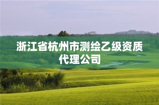 浙江省杭州市測繪乙級資質代理公司