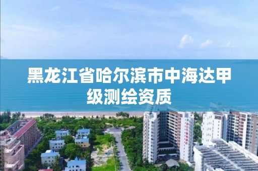 黑龍江省哈爾濱市中海達甲級測繪資質