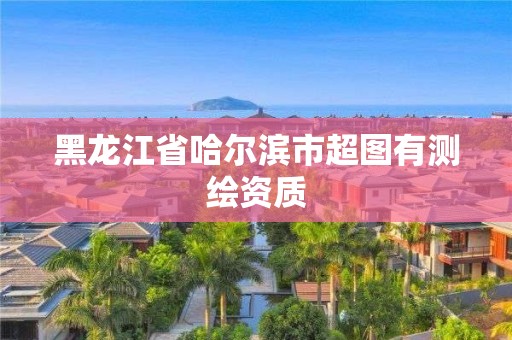 黑龍江省哈爾濱市超圖有測繪資質(zhì)