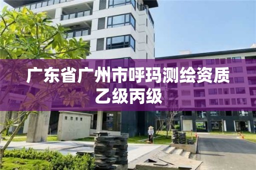 廣東省廣州市呼瑪測繪資質乙級丙級