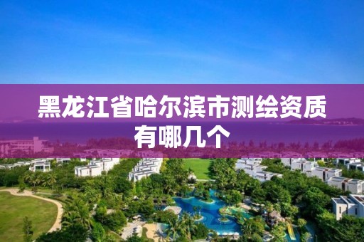 黑龍江省哈爾濱市測繪資質有哪幾個