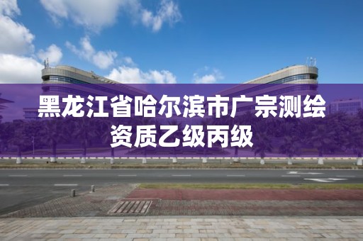 黑龍江省哈爾濱市廣宗測繪資質乙級丙級