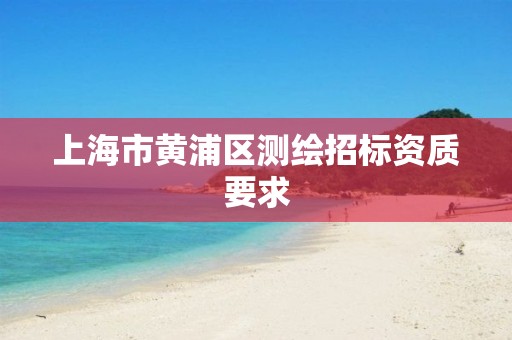 上海市黃浦區測繪招標資質要求