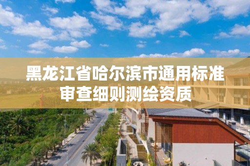 黑龍江省哈爾濱市通用標準審查細則測繪資質(zhì)