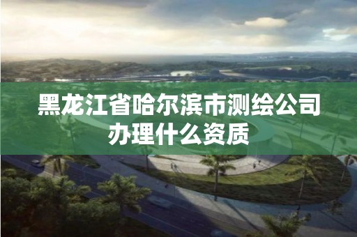 黑龍江省哈爾濱市測(cè)繪公司辦理什么資質(zhì)