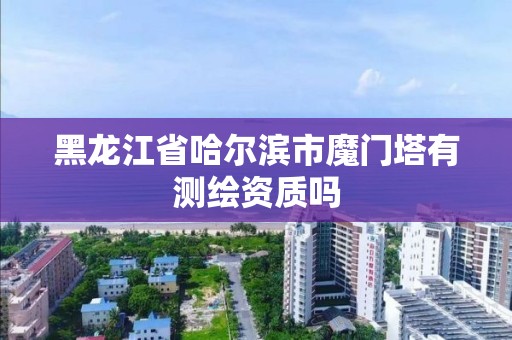 黑龍江省哈爾濱市魔門塔有測繪資質嗎