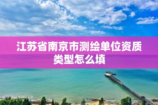 江蘇省南京市測繪單位資質類型怎么填