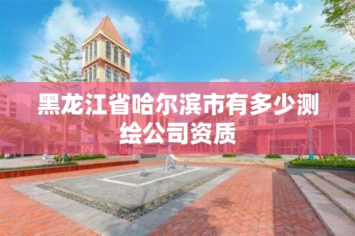 黑龍江省哈爾濱市有多少測繪公司資質