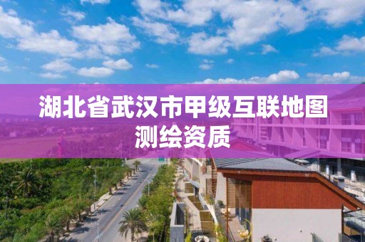 湖北省武漢市甲級互聯地圖測繪資質