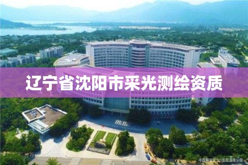 遼寧省沈陽市采光測繪資質