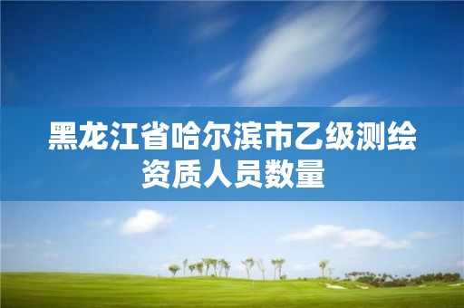 黑龍江省哈爾濱市乙級測繪資質人員數量