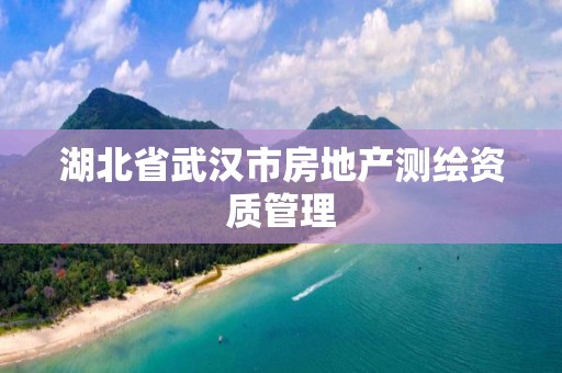 湖北省武漢市房地產測繪資質管理