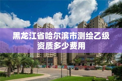 黑龍江省哈爾濱市測繪乙級資質多少費用