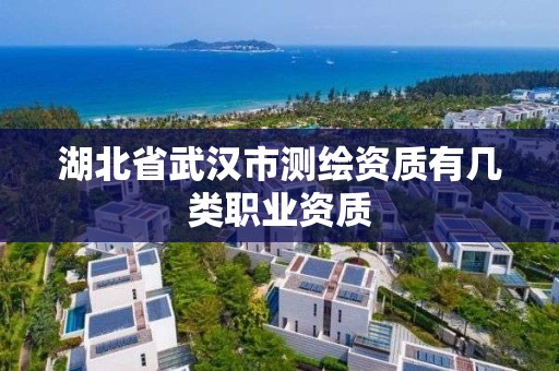 湖北省武漢市測繪資質有幾類職業資質