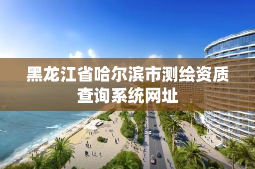 黑龍江省哈爾濱市測繪資質查詢系統網址