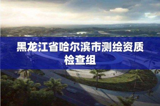 黑龍江省哈爾濱市測繪資質檢查組