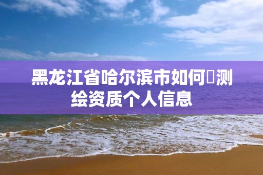 黑龍江省哈爾濱市如何査測繪資質個人信息