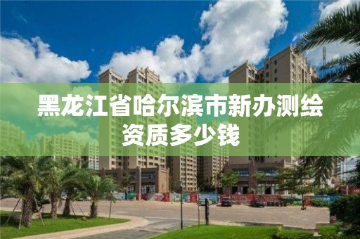 黑龍江省哈爾濱市新辦測繪資質多少錢