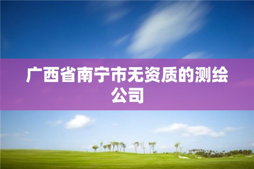 廣西省南寧市無資質(zhì)的測繪公司