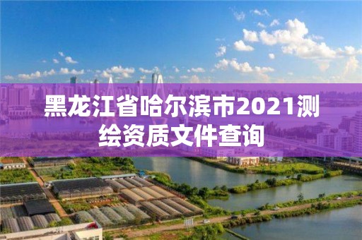 黑龍江省哈爾濱市2021測繪資質文件查詢