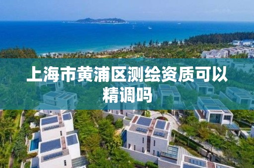 上海市黃浦區測繪資質可以精調嗎