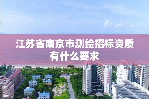 江蘇省南京市測繪招標資質有什么要求