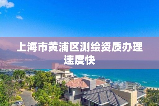 上海市黃浦區測繪資質辦理速度快