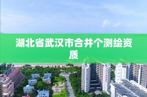 湖北省武漢市合并個(gè)測(cè)繪資質(zhì)