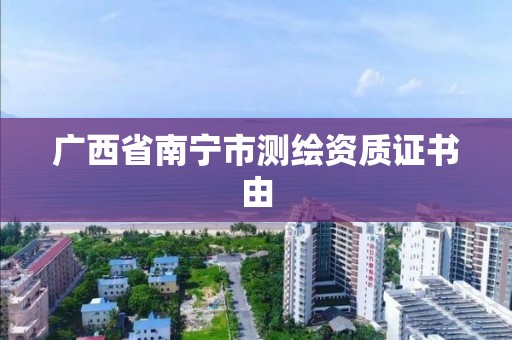 廣西省南寧市測繪資質證書由