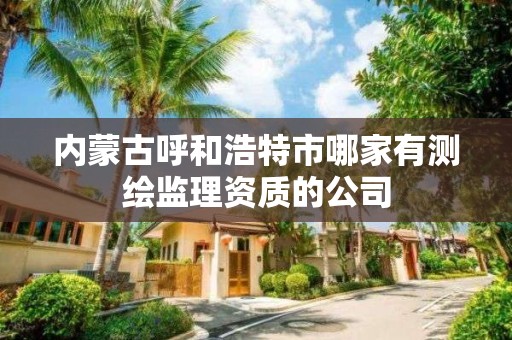 內蒙古呼和浩特市哪家有測繪監理資質的公司