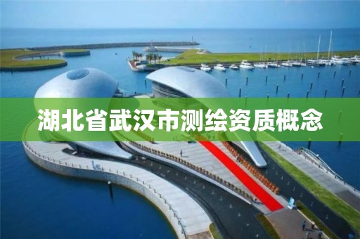 湖北省武漢市測繪資質概念