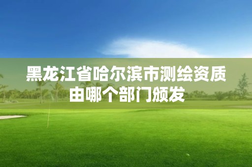 黑龍江省哈爾濱市測繪資質由哪個部門頒發