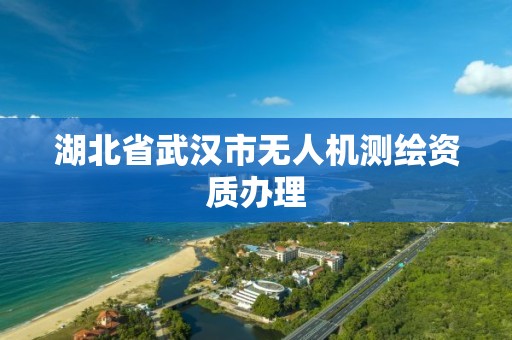 湖北省武漢市無人機測繪資質辦理