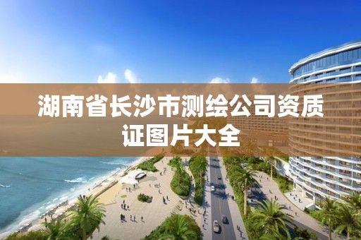 湖南省長沙市測繪公司資質證圖片大全