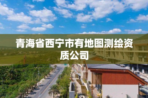 青海省西寧市有地圖測繪資質(zhì)公司