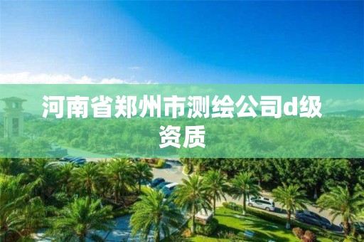 河南省鄭州市測繪公司d級資質