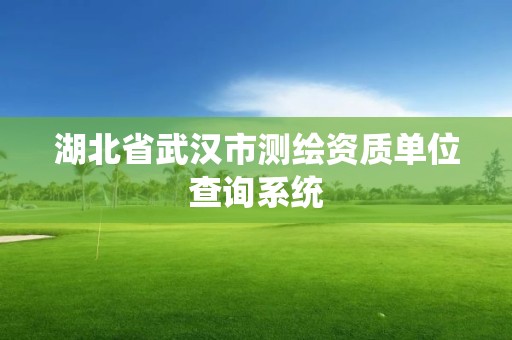 湖北省武漢市測繪資質單位查詢系統