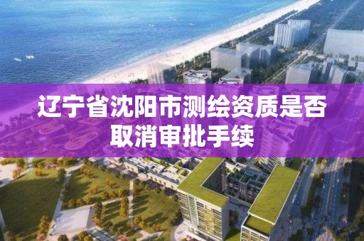 遼寧省沈陽市測繪資質是否取消審批手續