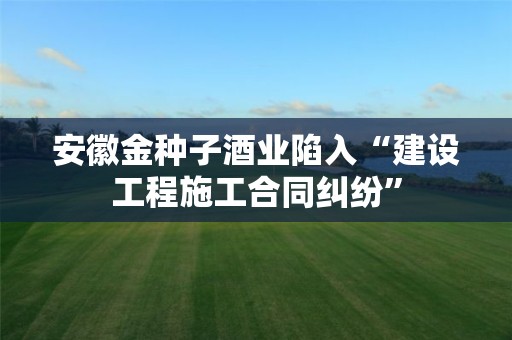 安徽金種子酒業(yè)陷入“建設(shè)工程施工合同糾紛”