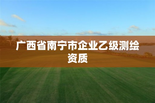 廣西省南寧市企業(yè)乙級測繪資質(zhì)