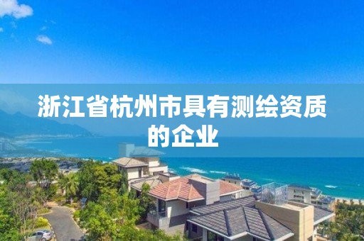 浙江省杭州市具有測繪資質的企業(yè)