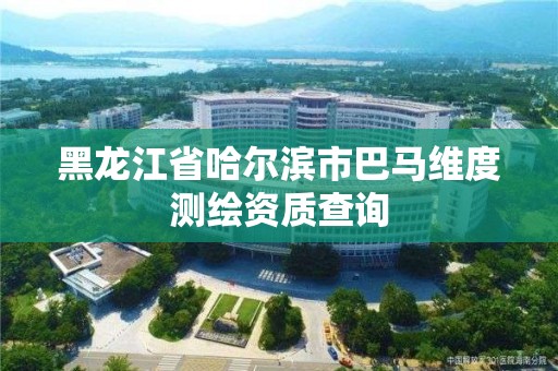 黑龍江省哈爾濱市巴馬維度測繪資質查詢