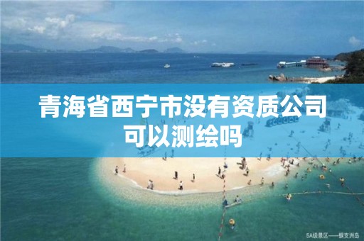 青海省西寧市沒有資質公司可以測繪嗎